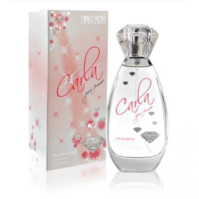 CARLO BOSSI Carlo Bossi  Парфюмированная вода жен CARLA FEMME RED 100мл Versus by Versace